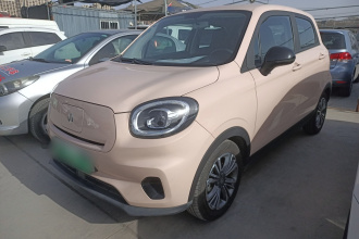 零跑汽车 零跑T03 2022款 特别版