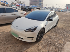 特斯拉 Model 3 2020款 标准续航后驱升级版