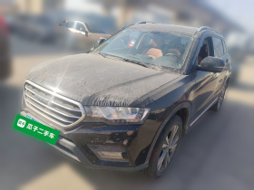 哈弗H6 Coupe 2015款 蓝标 2.0T 自动两驱尊贵型