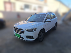 哈弗H6 2021款 运动版 1.5T 自动精英智联型 六边形格栅