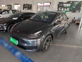 特斯拉 Model Y 2024款 后轮驱动版