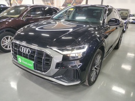 奥迪Q8 2019款 45 TFSI 臻选动感型