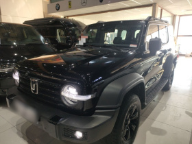 坦克300 2024款 2.0T 挑战者