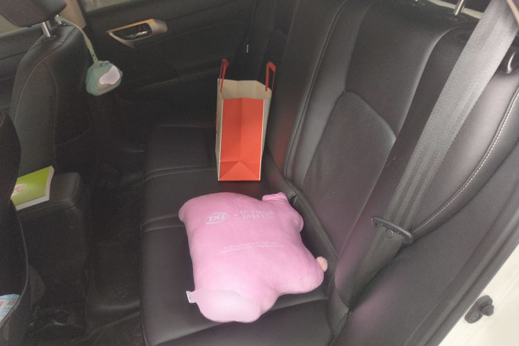 雷克萨斯CT 2017款 CT200h 精英版 单色 国VI中控内饰21