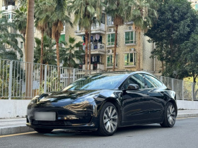 特斯拉 Model 3 2021款 标准续航后驱升级版