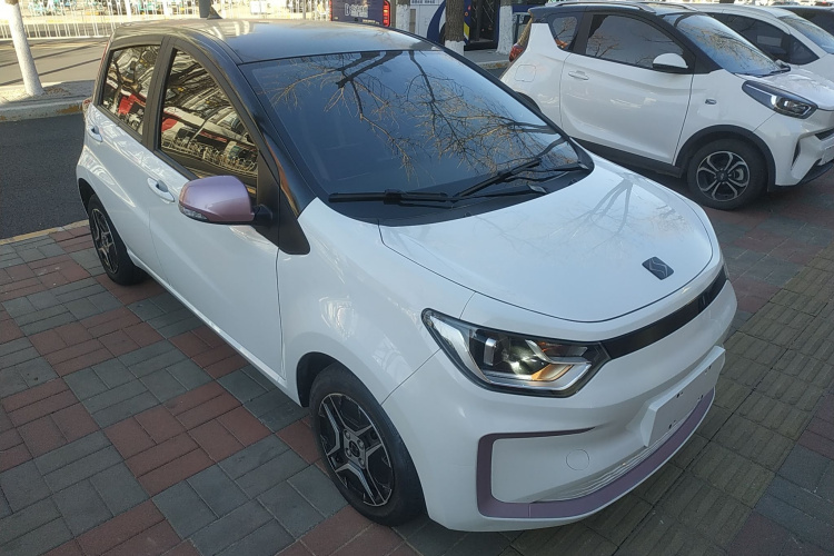 思皓 2022款 花仙子款 四叶草车身外观3