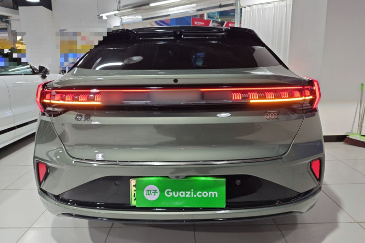 极氪001 2024款 YOU版 100kWh 四驱车身外观6004