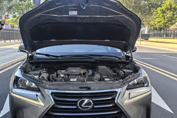 雷克萨斯NX 2015款 200t 全驱 锋尚版局部细节24