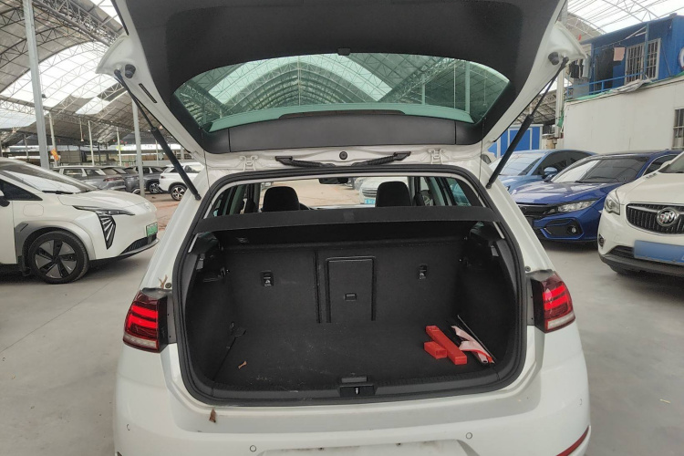 大众 高尔夫新能源(进口) 2018款 e-Golf局部细节23