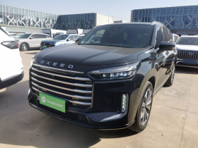 星途揽月 2024款 国际版 400T 四驱星尊 6座