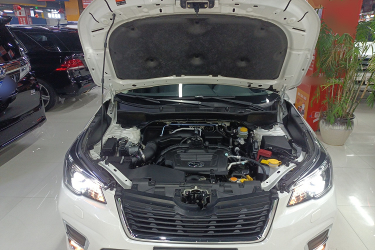 斯巴鲁 森林人 2021款 2.0i 豪华版EyeSight机舱底盘24