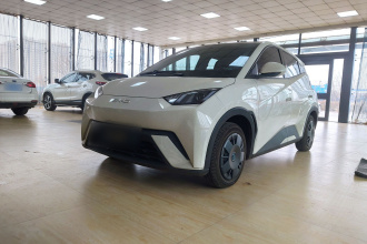 比亚迪 海鸥 2025款 305km 活力版