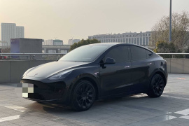 特斯拉 Model Y 2021款 标准续航后驱版