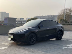 特斯拉 Model Y 2021款 标准续航后驱版