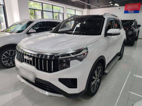 起亚 智跑 2021款 Ace 2.0L 挑战版