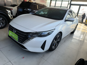 日产 轩逸 2023款 1.6L CVT智驾版