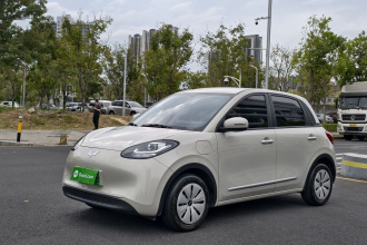 五菱汽车 五菱缤果 2024款 203km 轻享款