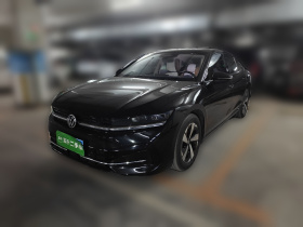 大众 迈腾 2024款  300TSI DSG尊享版显眼包