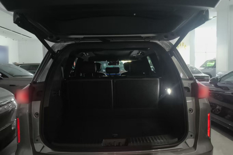 星途揽月 2024款 国际版 400T 四驱星尊 7座局部细节23