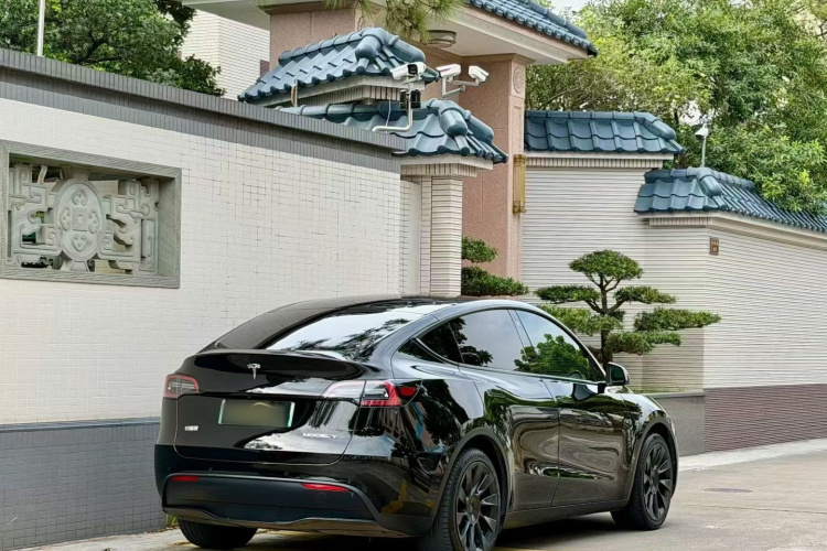 特斯拉 Model Y 2021款 标准续航后驱版车身外观6006
