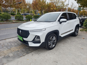 宝骏RS-5 2019款 1.5T CVT超级互联潮动版 国V