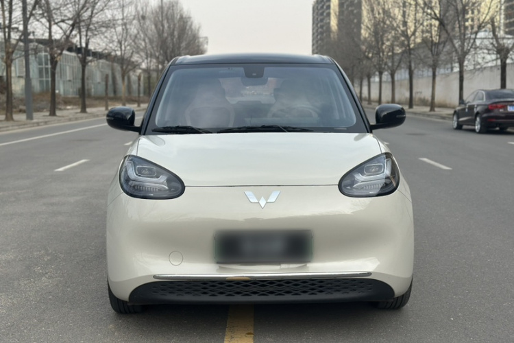 五菱汽车 五菱缤果 2023款 203km 轻享款车身外观6001