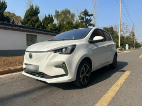 长安欧尚 奔奔E-Star 2020款 心动版 三元锂