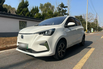 长安欧尚 奔奔E-Star 2020款 心动版 三元锂