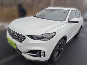 魏牌 VV6 2021款 2.0T 两驱智享+
