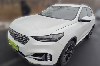 魏牌 VV6 2021款 2.0T 两驱智享+