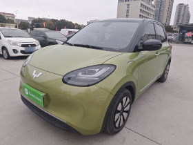 五菱汽车 五菱缤果 2023款 333km 灵犀互联款