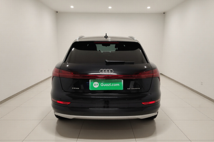 奥迪e-tron(进口) 2019款 55 quattro 技术型车身外观6