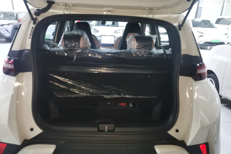 比亚迪 海鸥 2025款 智驾版 305km 活力版机舱底盘23