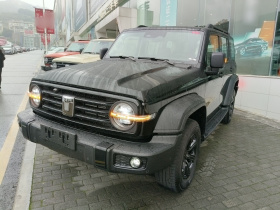 坦克300 2025款 2.4T 柴油版