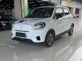 零跑汽车 零跑T03 2024款 403舒享版