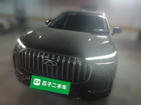 奇瑞 瑞虎9 2023款 2.0T 自动两驱豪华版 7座