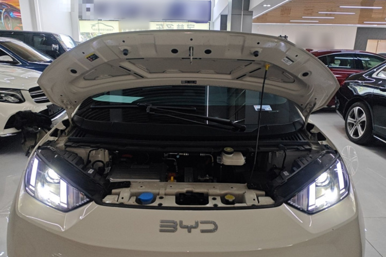 比亚迪 海鸥 2025款 305km 活力版机舱底盘24