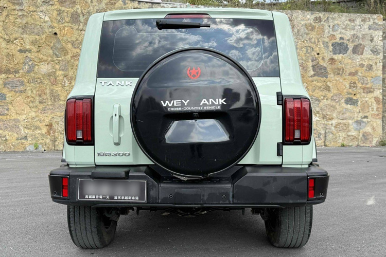 坦克300 2021款 城市版 2.0T 很有型车身外观6011