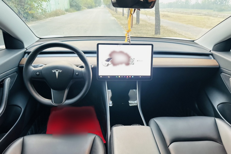 特斯拉 Model 3 2019款 标准续航后驱升级版中控内饰7001