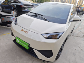 比亚迪 海鸥 2025款 305km 活力版