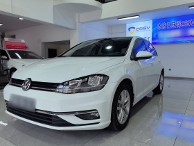 大众 高尔夫 2018款 1.6L 自动舒适型