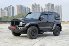 坦克300 2023款 2.0T 铁骑02