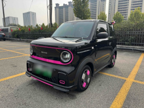 吉利银河 2025款 210km 熊猫卡丁