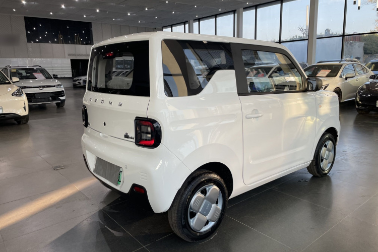 吉利银河 2024款 熊猫mini 200km 耐力熊车身外观6005