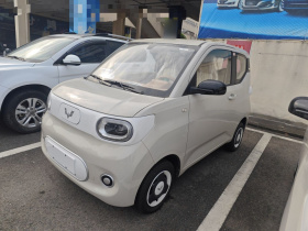 五菱汽车 宏光MINIEV 2024款 第三代 215km 青春版