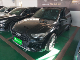 奥迪Q5L 2025款 45周年典藏版 40 TFSI 豪华动感型