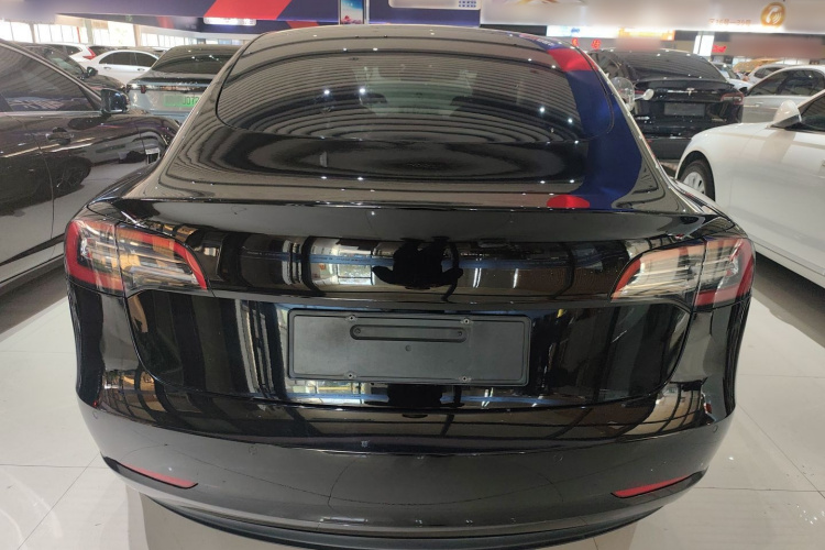 特斯拉 Model 3 2021款 改款 标准续航后驱升级版 3D1车身外观6