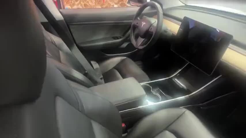 特斯拉 Model 3 2019款 标准续航后驱升级版实拍1