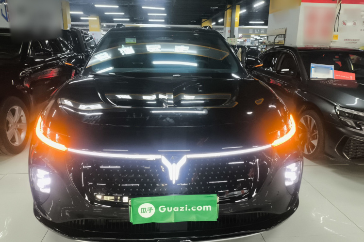 岚图汽车 岚图知音 2024款 四驱全球版车身外观6001