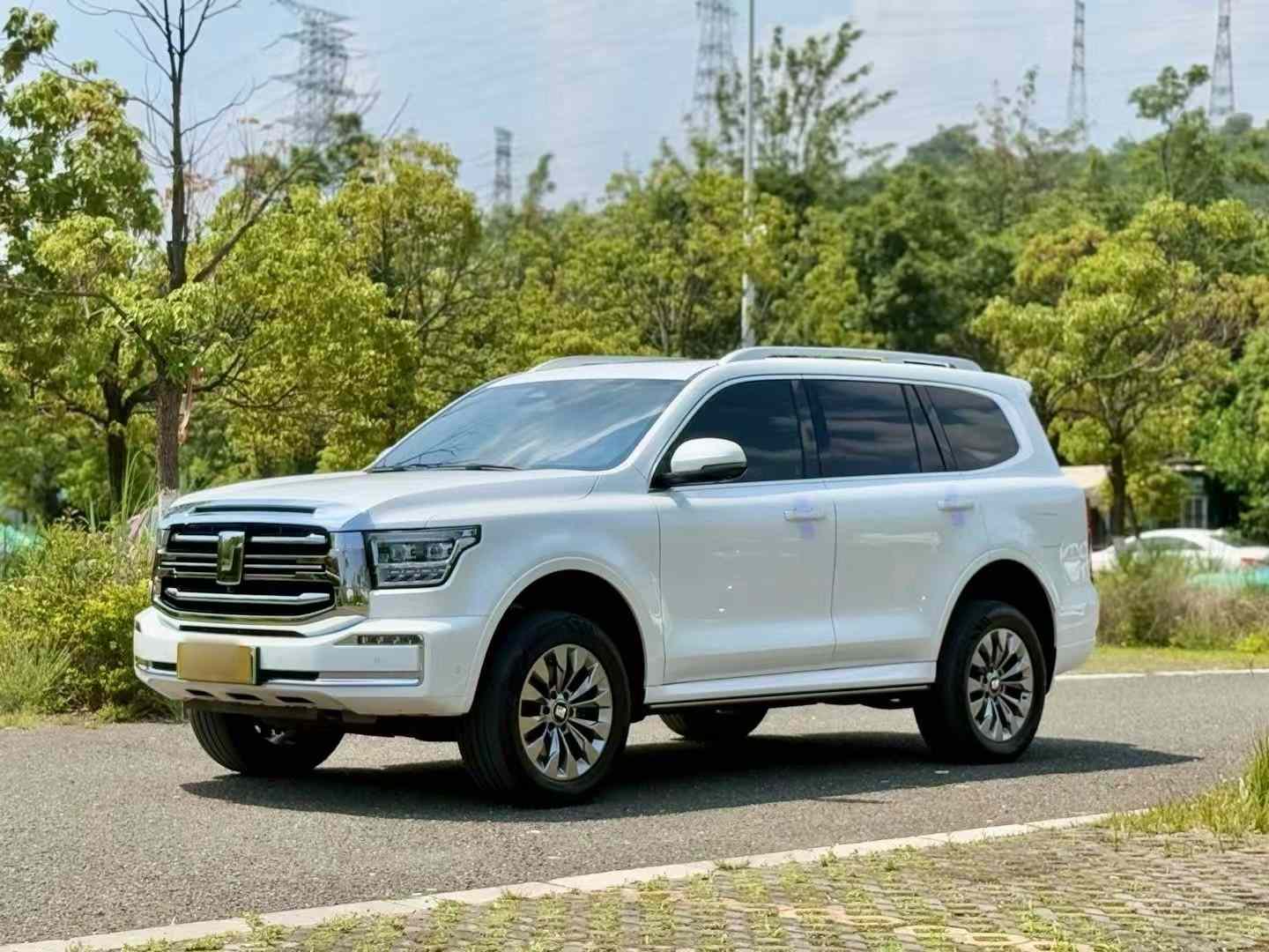 坦克500新能源 2023款 Hi4-T(1)